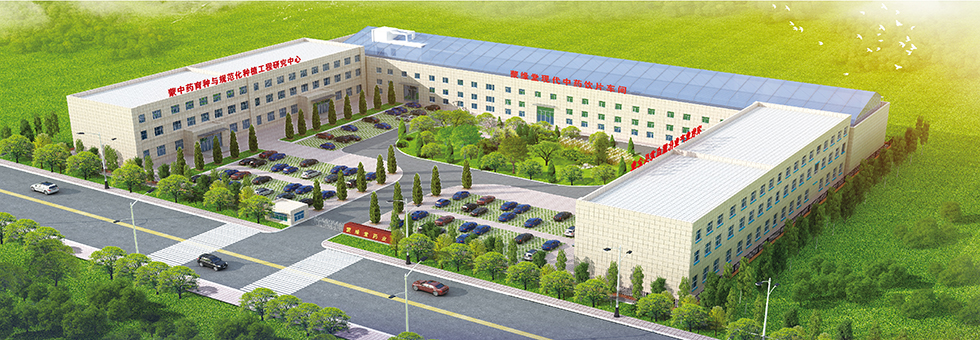 泰安市雙龍線(xiàn)路器材有限公司